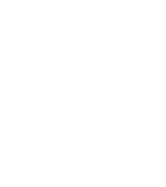 chitară evolution model negru pe tricou