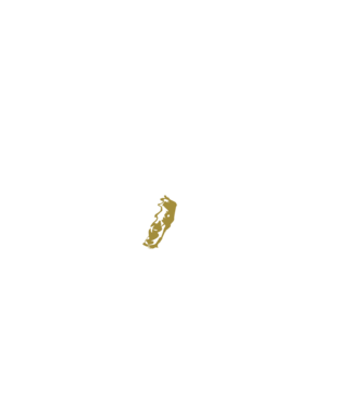 King in the north 2c model negru pe tricou