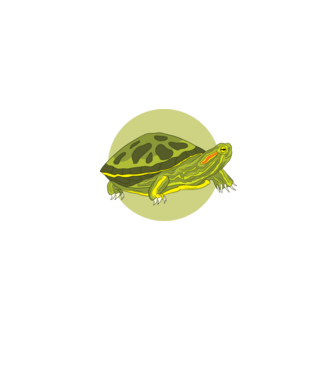 Turtle model albastru jeanși pe tricou