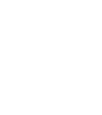 Regele - ceaunului! model albastru închis pe tricou