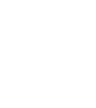 Crazy Cat Ladies are born in November model negru pe tricou