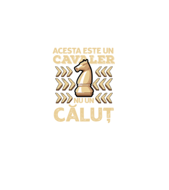 Acesta este un cavaler, nu un căluț  model  pe tricou