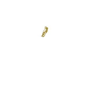 King in the north 2c model negru pe tricou