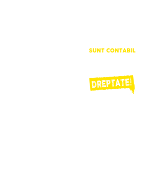 Sunt contabil, pentru a economisi timp, să reținem că am întotdeauna dreptate! model galben neon pe tricou