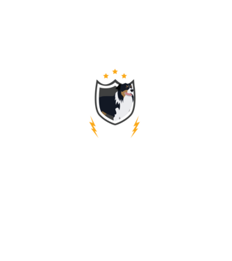 serviciu de securitate - securitate - persistență - 24 de ore pe zi model negru pe tricou