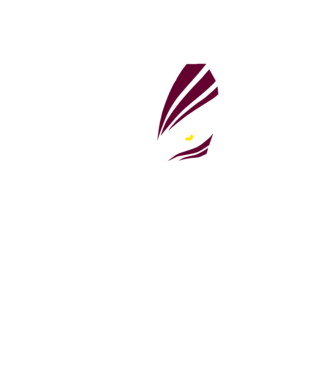 Ichigo Hollow Mask model negru pe tricou