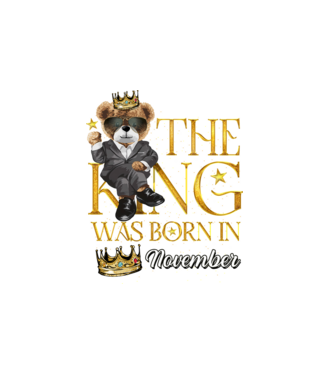 The king was born int NOVEMBER model alb pe tricou