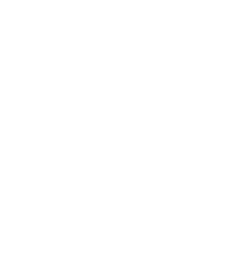 Chest day model turcoaz pe tricou