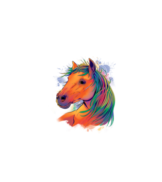 Colorful Horse model alb pe tricou