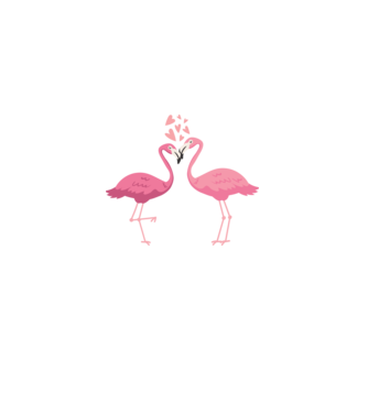 FLAMINGO ÎNDRĂGOSTIȚI model alb pe tricou