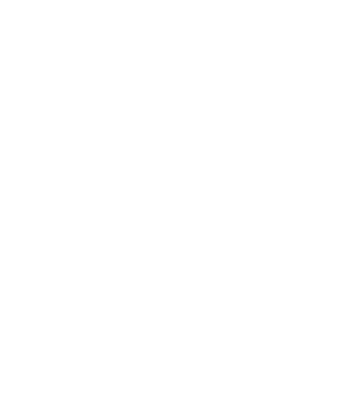 Crazy Cat Ladies are born in January model negru pe tricou