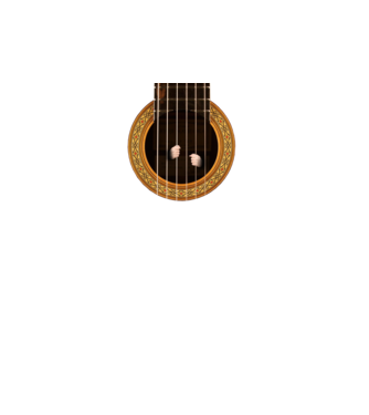 Guitar prison model negru pe tricou
