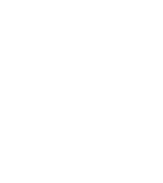Bug fixed model albastru închis pe tricou
