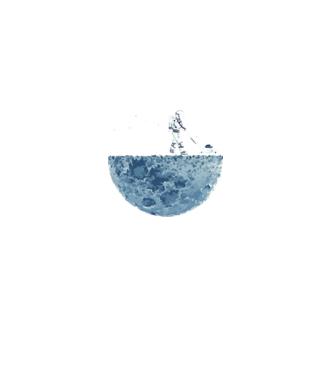 Funny astrounaut model negru pe tricou
