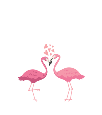 FLAMINGO ÎNDRĂGOSTIȚI model alb pe tricou