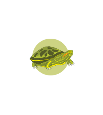 Turtle model negru pe tricou