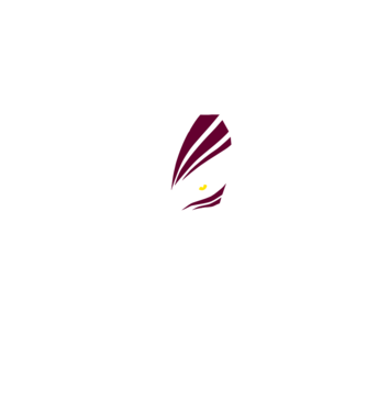 Ichigo Hollow Mask model negru pe tricou