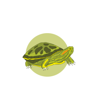 Turtle model alb pe tricou