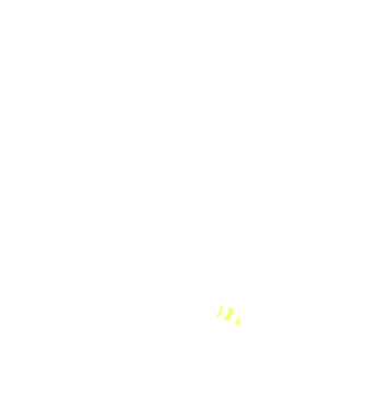apicultor model albastru închis pe tricou