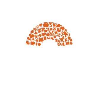 Pokeball model verde neon pe tricou