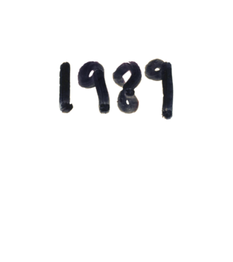 Taylor Swift 1989 text model alb pe tricou
