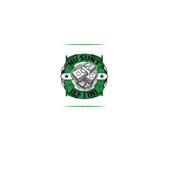 contabilii pricepuți nu sunt ieftini, contabilii ieftini nu sunt pricepuți model verde neon pe tricou