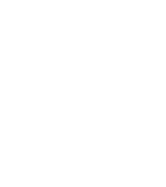 nimeni nu e perfect, dar stăpânii de havanese sunt foarte aproape model negru pe tricou