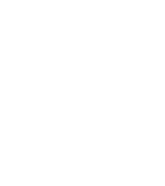 Bunicdidas model alb pe tricou
