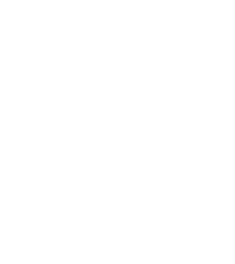 LOVE Border Collie model negru pe tricou