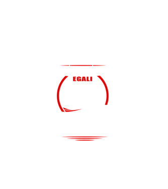 Toți bărbații se nasc egali zidari model negru pe tricou