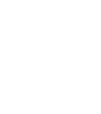 Freedom model turcoaz pe tricou