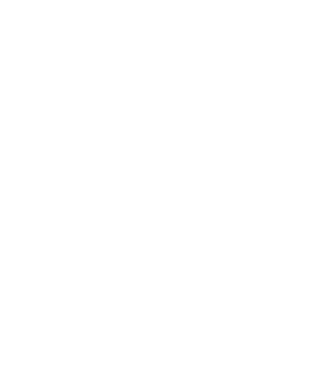 Crazy Cat Ladies are born in February model negru pe tricou