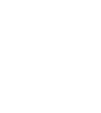 Camion 2. model gri pe tricou