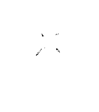 I survived the battle of the bastards model roz neon pe tricou