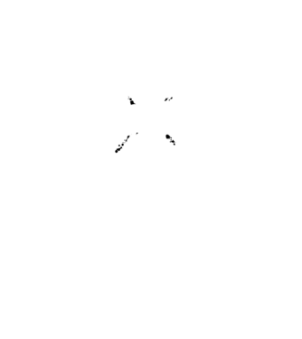 I survived the battle of the bastards model gri închis pe tricou