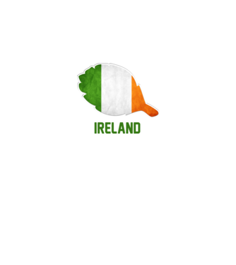 Steag irlandez model alb pe tricou