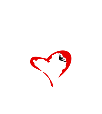 heartclimb model alb pe tricou