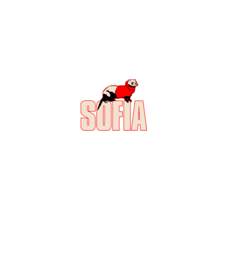 sofia la casa de papel model negru pe tricou