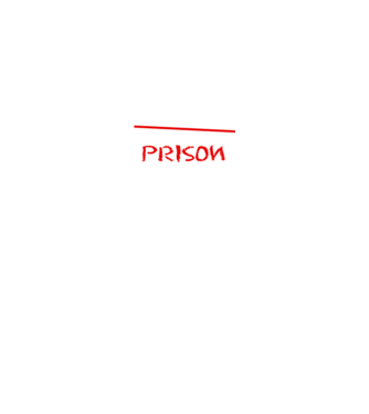 Back to prison - școală model negru pe tricou