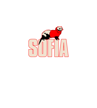 sofia la casa de papel model negru pe tricou