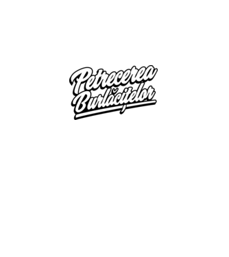 petrecerea burlăcițelor model gri închis pe tricou