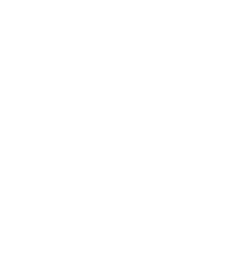 Box evoluție model negru pe tricou