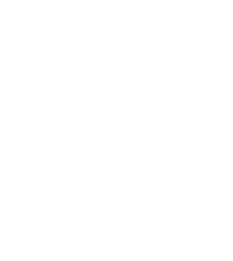 EarthLogo model negru pe tricou