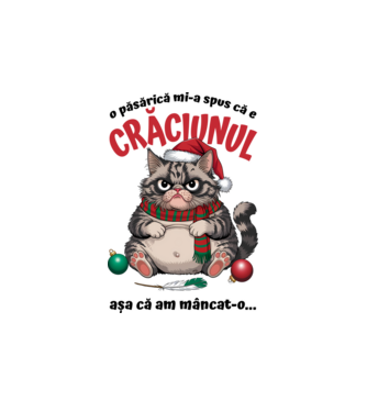 Am mâncat pasărea Crăciun pisică Alb model alb pe tricou