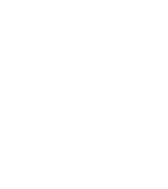 Camion 2. model verde neon pe tricou