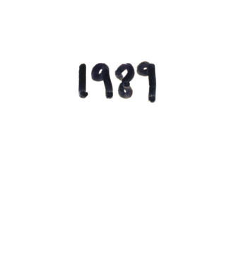 Taylor Swift 1989 text model alb pe tricou
