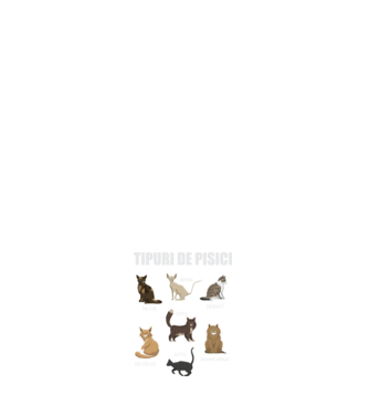 Tipuri de pisici model negru pe tricou