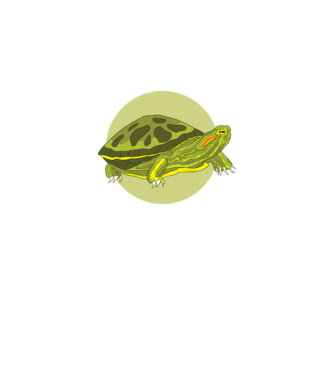 Turtle model negru pe tricou