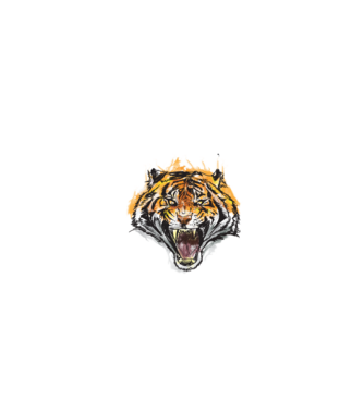 m-am născut liber model negru pe tricou