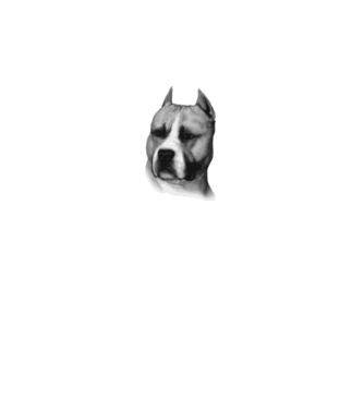 Staffordshire Terrier model alb pe tricou